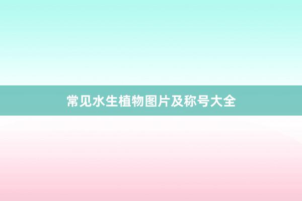 常见水生植物图片及称号大全
